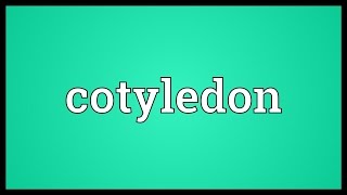 Cotyledon Meaning [upl. by Tnarb697]