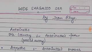 WIDE SARGASSO SEA BY JEAN RHYS summary explained in hindi [upl. by Stubstad]