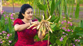 I made my fathers tea time peculiar At his own tea plantation  Poorna  The nature girl [upl. by Ojela]