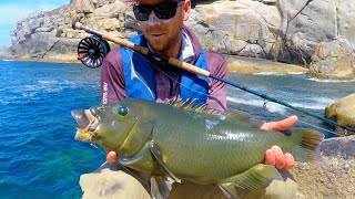 First Person to catch a Western Blue Groper on Fly Ep24 [upl. by Assyli33]