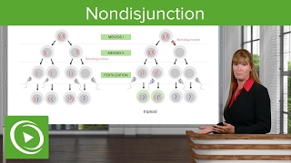 Nondisjunction Chromosomal Disorders amp Aneuploidies – Medical Genetics  Lecturio [upl. by Rosalinda734]