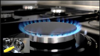 How to Adjust the Flame on Your New ZLINE Range [upl. by Nylirehs893]