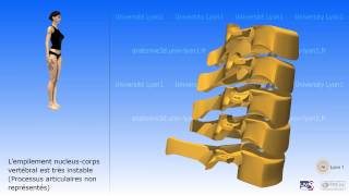 La colonne cervicale [upl. by Vassaux]