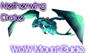 Netherwing Drakes Guide [upl. by Nnylarak]