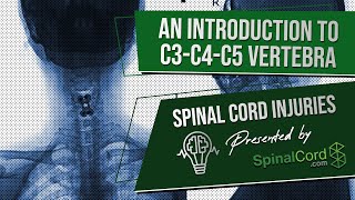 C3 C4 C5 Definitions Cervical Spinal Cord Injury Symptoms Causes Treatments and Recovery [upl. by Wordoow]