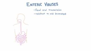 Introduction to Enteric Viruses [upl. by Edylc675]