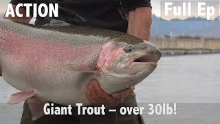 Giant Trout  Over 30lb [upl. by Nahtanohj343]