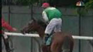 Afleet Alex Belmont Stakes 2005  amazing kick in the end [upl. by Carlos791]