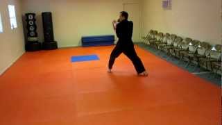 ChonJi Tae Kwon Do Form Explained Step by Step [upl. by Nnylidnarb]