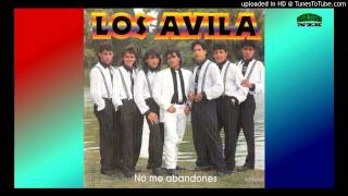 LOS AVILA GRANDES EXITOS CD ENTERO COMPLETO [upl. by Lyn555]