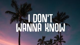 Silience  I Dont Wanna Know Lyrics ft Brenda Mullen [upl. by Isyak941]