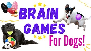 10 Easy Brain Games to Play with your Dog  Mental Stimulation for Dogs [upl. by Oinimreh609]