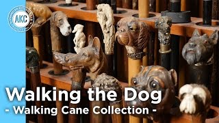 Walking the Dog  The Walking Cane Collection  AKC Art Tour with Jim [upl. by Sletten834]