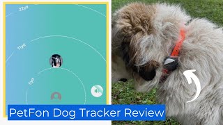 PetFon Dog Activity Real Time Tracker Review [upl. by Adeirf]