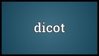 Dicot Meaning [upl. by Dahsar890]