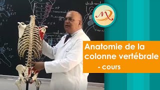 Anatomie de la colonne vertébrale cours [upl. by Kcirdez]