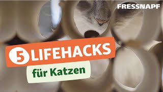 Fünf Lifehacks für das Leben mit Katzen  einfach und praktisch [upl. by Juback]