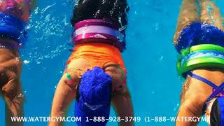 Water Float Belts in Fun Tropical Colors by WaterGym® [upl. by Zwart]