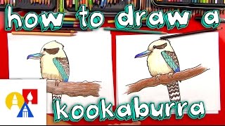 How To Draw A Kookaburra [upl. by Say332]