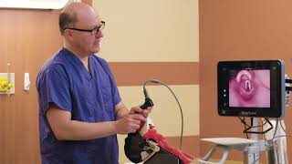 Optimal GlideScope Hyperangulated Blade Positioning Technique by Dr Rich Levitan [upl. by Nnylyram]