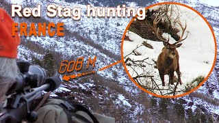 Red Stag Hunting in France  Chasse au Cerf en France  2021 [upl. by Cartwell]