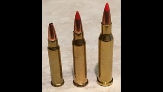 17hmr vs 17wsm vs 17 hornet [upl. by Larochelle]