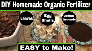 Easy DIY Homemade Organic Garden Fertilizer [upl. by Lanza]