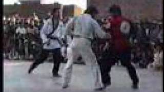 Very rare fight kung fu vs taekwondo Master Ehsan Shafiq [upl. by Temhem4]