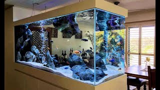 8 Super Clean African Cichlid Tank Ideas  Beautiful Cichlids Aquarium [upl. by Lekym]