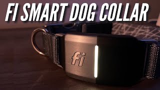 Fi Smart WiFi GPS Dog Collar Unboxing Setup Review [upl. by Livia]