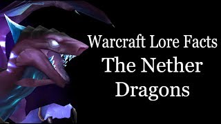 Warcraft Lore Facts  The Nether Dragons [upl. by Boffa69]