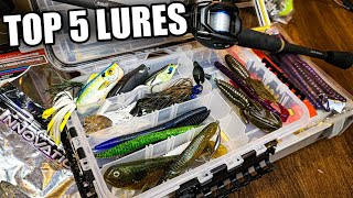 My TOP 5 Summer Bass Fishing Lures Bank Fishing for Beginners [upl. by Itnahsa]