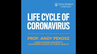 Life Cycle of the Coronavirus [upl. by Rexferd603]