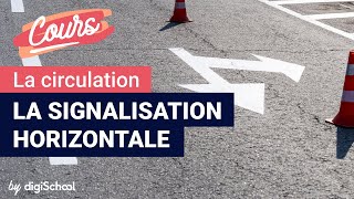 La signalisation horizontale  Code de la route [upl. by Yanrahc452]