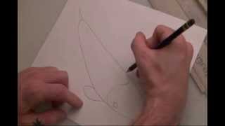 How to draw a koi fish A beginners guide [upl. by Mona]