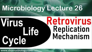 Retrovirus replication  virus life cycle [upl. by Atsirk]