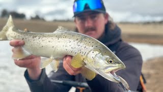 Eucumbene Trout fishing [upl. by Ruthven]