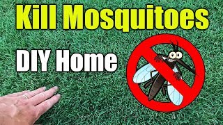 Mosquito Control Home and Yard Spraying [upl. by Nameerf]