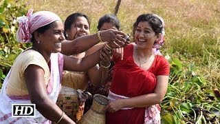 Assam Minister and Actress Angurlata Deka spotted fishing [upl. by Nylarahs]