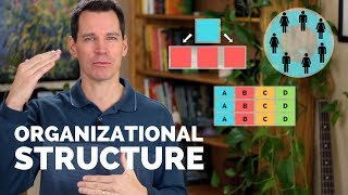 Organizational Structure [upl. by Karim119]