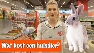 Wat kost een huisdier  DierenpraatTV [upl. by Lansing]