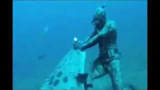 Giant Goliath Grouper Attacks Diver who is Spearfishing [upl. by Ainegul]